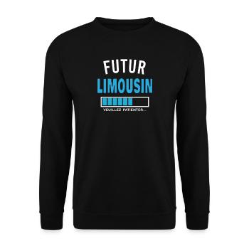 futur LIMOUSIN - Sweat-shirt Unisexe - noir - Devant - Alina (178cm) & Michal (187cm)
