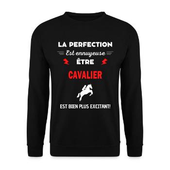 La perfection est ennuyeuse excitant! cavalier - Sweat-shirt Unisexe - noir - Devant - Alina (178cm) & Michal (187cm)