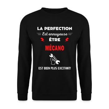 La perfection est ennuyeuse excitant! Mécano - Sweat-shirt Unisexe - noir - Devant - Alina (178cm) & Michal (187cm)