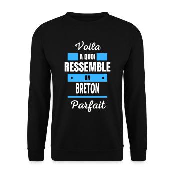 Voila a quoi ressemble un BRETON parfait - Sweat-shirt Unisexe - noir - Devant - Alina (178cm) & Michal (187cm)
