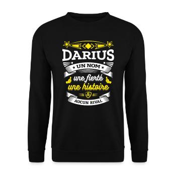 DARIUS UN NOM UNE FIERTÉ AUCUN RIVAL - Sweat-shirt Unisexe - noir - Devant - Alina (178cm) & Michal (187cm)