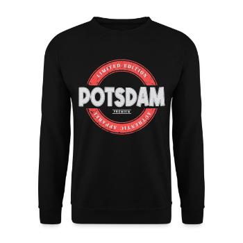 Potsdam Deutschland Stadt Skyline Heimat Liebe - Unisex Pullover - Schwarz - Vorne - Alina (178cm) & Michal (187cm)