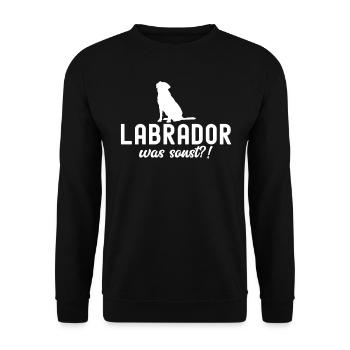 Labrador Was Sonst Gassi Gehen Labbi Hundebesitzer - Unisex Pullover - Schwarz - Vorne - Alina (178cm) & Michal (187cm)