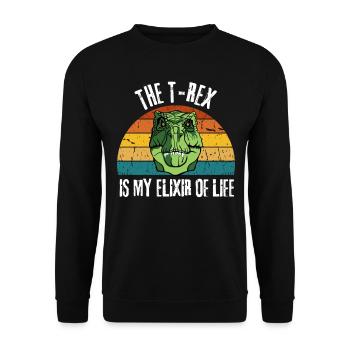 Dino Tyrannosaurus Drôle de cadeau Retro T Rex - Sweat-shirt Unisexe - noir - Devant - Alina (178cm) & Michal (187cm)