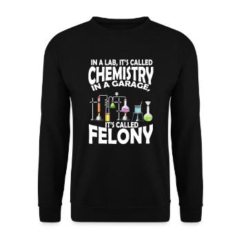 Chimie dans le laboratoire du garage du crime - Sweat-shirt Unisexe - noir - Devant - Alina (178cm) & Michal (187cm)
