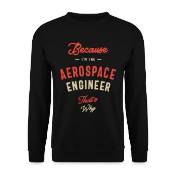 Aerospace Engineer Job Occupation Birthday Worker - Unisex Sweatshirt - black - Front - Alina (178cm) & Michal (187cm)