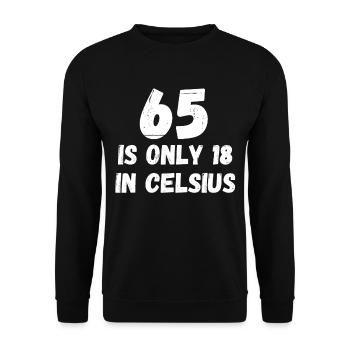 65 ist nur 18 in Celsius lustiger Geburtstag - Unisex Pullover - Schwarz - Vorne - Alina (178cm) & Michal (187cm)