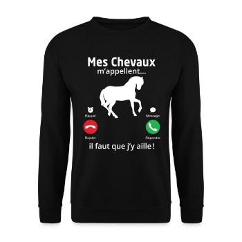 mes chevaux m'appellent il faut quẹ j'y aille! - Sweat-shirt Unisexe - noir - Devant - Alina (178cm) & Michal (187cm)