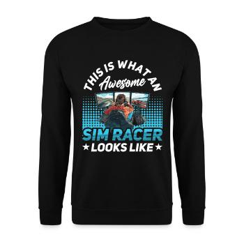 Simulator Cockpit Esports Sim Racing - Unisex Pullover - Schwarz - Vorne - Alina (178cm) & Michal (187cm)