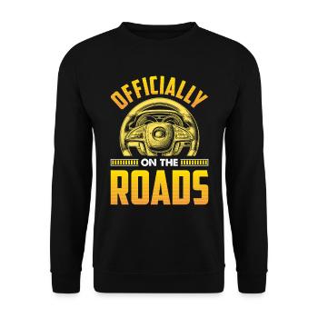Driving School Driving Instructor - Unisex Sweatshirt - black - Front - Alina (178cm) & Michal (187cm)