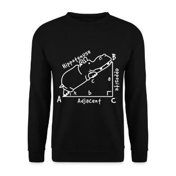 Mathe Dreieck Geometrie - Unisex Pullover - Schwarz - Vorne - Alina (178cm) & Michal (187cm)