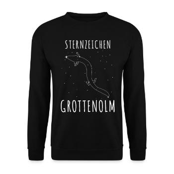 Grottenolm Sternenhimmel - Unisex Pullover - Schwarz - Vorne - Alina (178cm) & Michal (187cm)