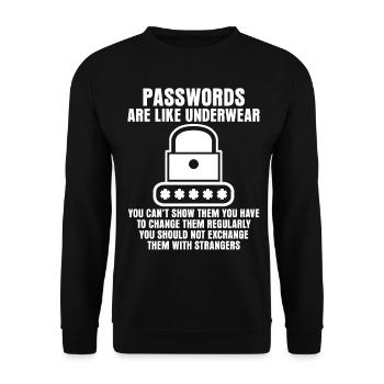 Admin Passwort Programmierer - Unisex Pullover - Schwarz - Vorne - Alina (178cm) & Michal (187cm)