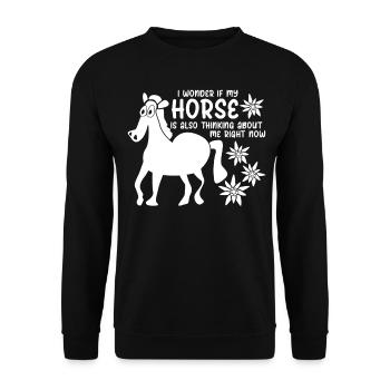 Haflinger Horses Iclander Horse Riding - Unisex Sweatshirt - black - Front - Alina (178cm) & Michal (187cm)