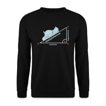 Lehrer Mathematiklehrer Lustig Geschenk Hypotenuse - Unisex Pullover - Schwarz - Vorne - Alina (178cm) & Michal (187cm)