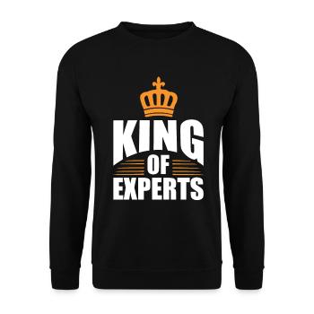 Roi des experts cadeau maître génie professionnel - Sweat-shirt Unisexe - noir - Devant - Alina (178cm) & Michal (187cm)