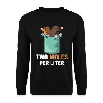 Two moles per liter Wissenschaftler Physiker - Unisex Pullover - Schwarz - Vorne - Alina (178cm) & Michal (187cm)