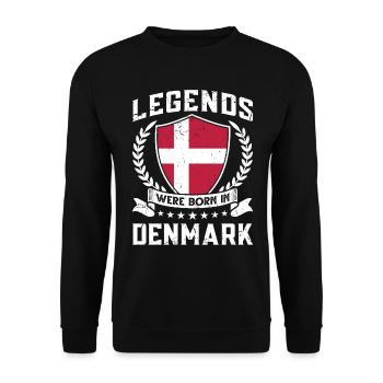 Vintage Design Drapeau danois Danemark - Sweat-shirt Unisexe - noir - Devant - Alina (178cm) & Michal (187cm)