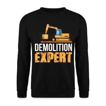 Kran und Bagger sind die Abbruchsexperten auf der - Unisex Pullover - Schwarz - Vorne - Alina (178cm) & Michal (187cm)