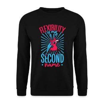Flamingo beim Aerial Silks - Unisex Pullover - Schwarz - Vorne - Alina (178cm) & Michal (187cm)