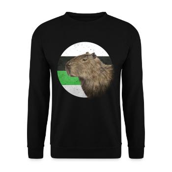 Demiromantic Pride Flag Capybara Sublte LGBTQ - Sweat-shirt Unisexe - noir - Devant - Alina (178cm) & Michal (187cm)