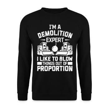 Funny House Demolition Day Demolition Expert Blows To A - Unisex Sweatshirt - black - Front - Alina (178cm) & Michal (187cm)