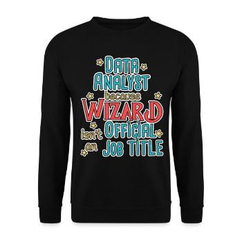 Data Analyst Wizard - Unisex Pullover - Schwarz - Vorne - Alina (178cm) & Michal (187cm)