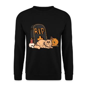Exotische Kurzhaarkatze Halloween Katze - Unisex Pullover - Schwarz - Vorne - Alina (178cm) & Michal (187cm)