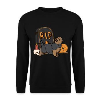 Cute Norfolk Terrier Halloween Costume Dog - Unisex Sweatshirt - black - Front - Alina (178cm) & Michal (187cm)