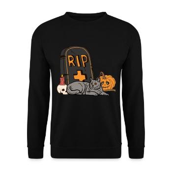 Cute Chartreux Carthusian Halloween Cat - Unisex Sweatshirt - black - Front - Alina (178cm) & Michal (187cm)
