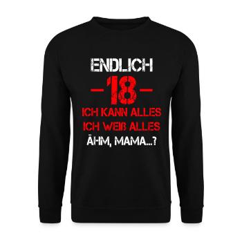 18 Geburtstag 18 Jahre Volljährig Erwachsen 18ter - Unisex Pullover - Schwarz - Vorne - Alina (178cm) & Michal (187cm)