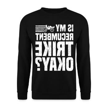 Velomobil | Recumbent Trike Triker Sport Geschenk - Unisex Pullover - Schwarz - Vorne - Alina (178cm) & Michal (187cm)