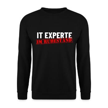 Informatiker Ruhestand - Unisex Pullover - Schwarz - Vorne - Alina (178cm) & Michal (187cm)