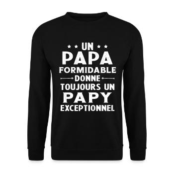 Un papa formidable - Papy exceptionnel Cadeau - Sweat-shirt Unisexe - noir - Devant - Alina (178cm) & Michal (187cm)