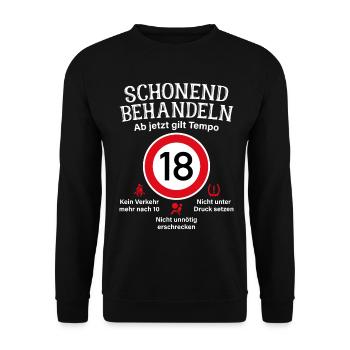 18. Geburtstag Schonend Behandeln 18 Tempolimit 18 - Unisex Pullover - Schwarz - Vorne - Alina (178cm) & Michal (187cm)