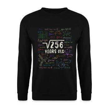 Root of 256 = 16th Birthday - Gift - Unisex Sweatshirt - black - Front - Alina (178cm) & Michal (187cm)