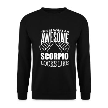 Skorpion - Unisex Pullover - Schwarz - Vorne - Alina (178cm) & Michal (187cm)
