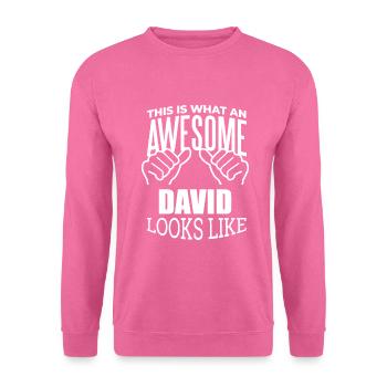 David - Unisex Pullover - Pink - Vorne
