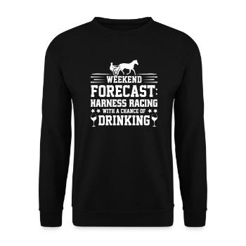 Trotting Horse, Trotting Racing, Equestrian Sports, Horses - Unisex Sweatshirt - black - Front - Alina (178cm) & Michal (187cm)
