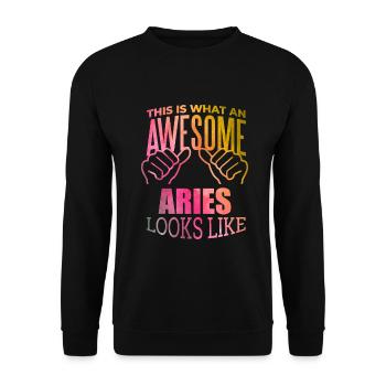 Widder - Unisex Pullover - Schwarz - Vorne - Alina (178cm) & Michal (187cm)