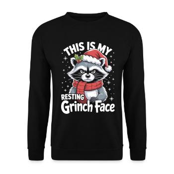 Raton laveur de Noël avec chapeau et dicton T-Shirt - Sweat-shirt Unisexe - noir - Devant - Alina (178cm) & Michal (187cm)
