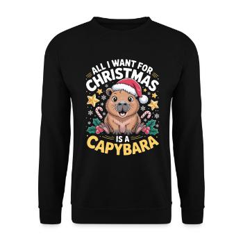 Tout ce que je veux pour Noël, c’est un capybara - Sweat-shirt Unisexe - noir - Devant - Alina (178cm) & Michal (187cm)