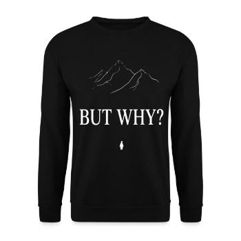 BUT WHY? Penguin Mountains Line Art - Unisex Sweatshirt - black - Front - Alina (178cm) & Michal (187cm)