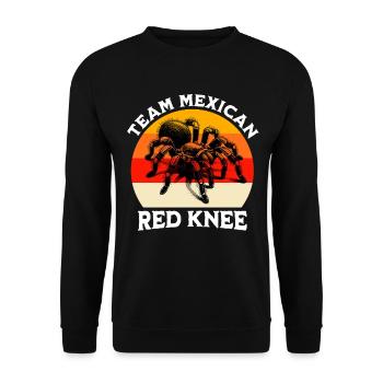 Team Redknee Tarantula - Unisex Sweatshirt - black - Front - Alina (178cm) & Michal (187cm)