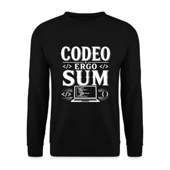I Program, Therefore I Am | Latin Saying - Unisex Sweatshirt - black - Front - Alina (178cm) & Michal (187cm)