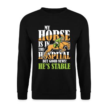 My Horse Is In The Hospital But Good News Stable - Unisex Pullover - Schwarz - Vorne - Alina (178cm) & Michal (187cm)