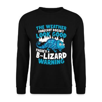 The Weather Forecast Doesn't Look Good B-Lizard - Unisex Pullover - Schwarz - Vorne - Alina (178cm) & Michal (187cm)