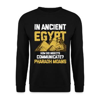 In Ancient Egypt Insect Communicate Pharaoh Moans - Unisex Pullover - Schwarz - Vorne - Alina (178cm) & Michal (187cm)