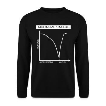 Lustiges Geschenk Programmierer Computer Diagramm - Unisex Pullover - Schwarz - Vorne - Alina (178cm) & Michal (187cm)