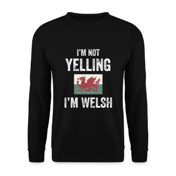 Ich schreie nicht Ich bin Walisisch - Wales Flagge - Unisex Pullover - Schwarz - Vorne - Alina (178cm) & Michal (187cm)